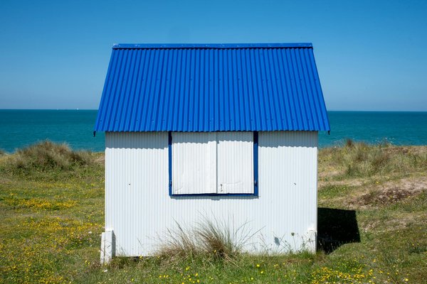 Top 5 raisons de nager avec les dauphins cette année