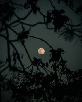 Comment tirer le meilleur parti de votre lune de miel ?